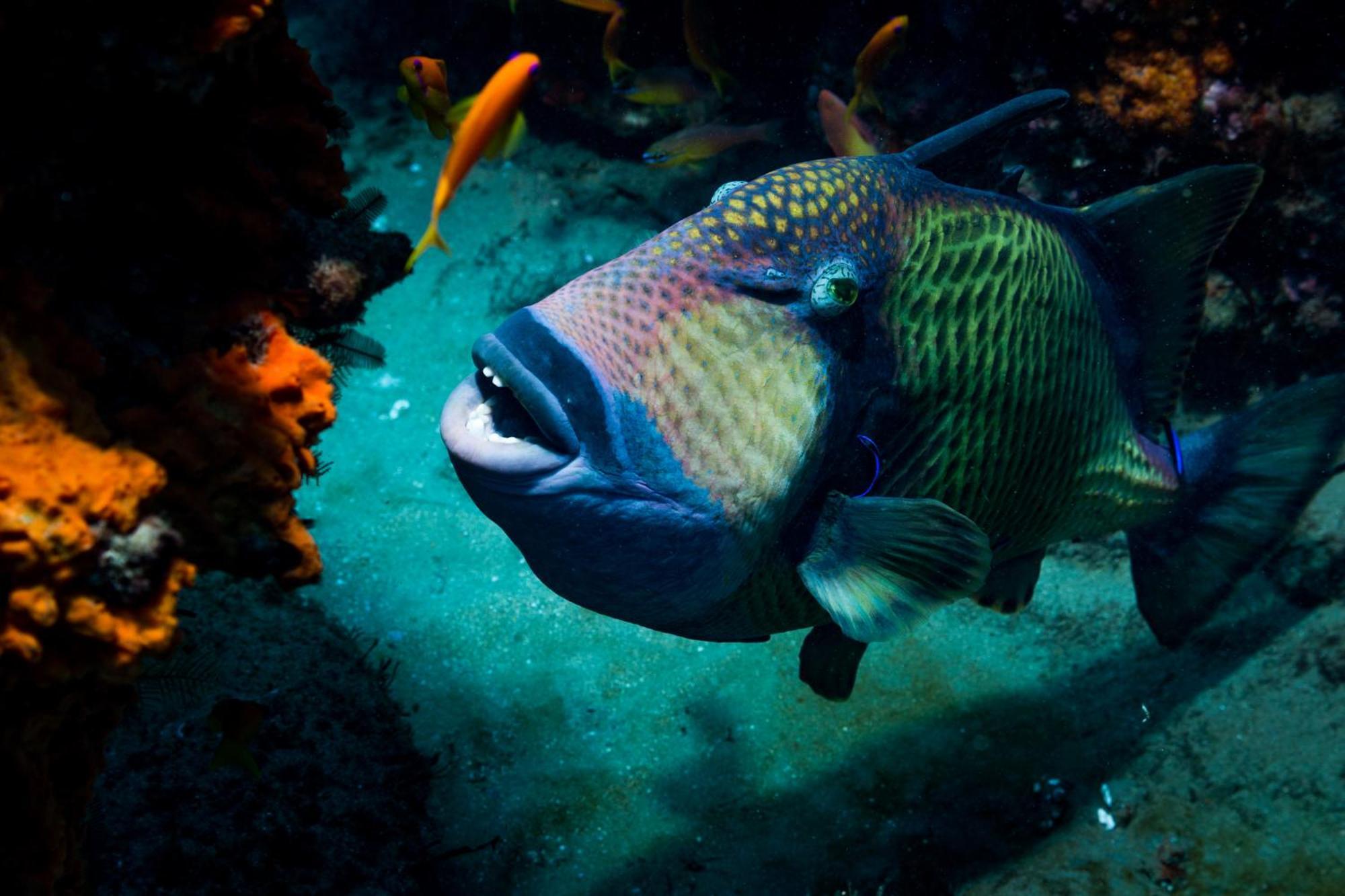 Sodwana Bay Lodge Dive & Fishing Resort Dış mekan fotoğraf