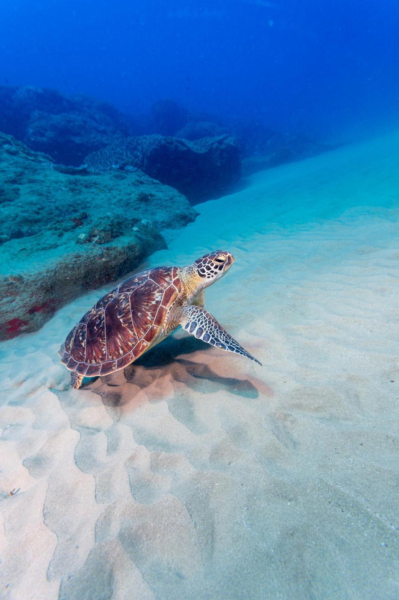 Sodwana Bay Lodge Dive & Fishing Resort Dış mekan fotoğraf
