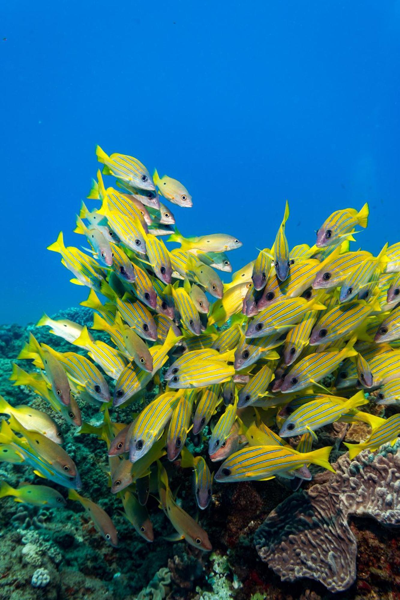 Sodwana Bay Lodge Dive & Fishing Resort Dış mekan fotoğraf