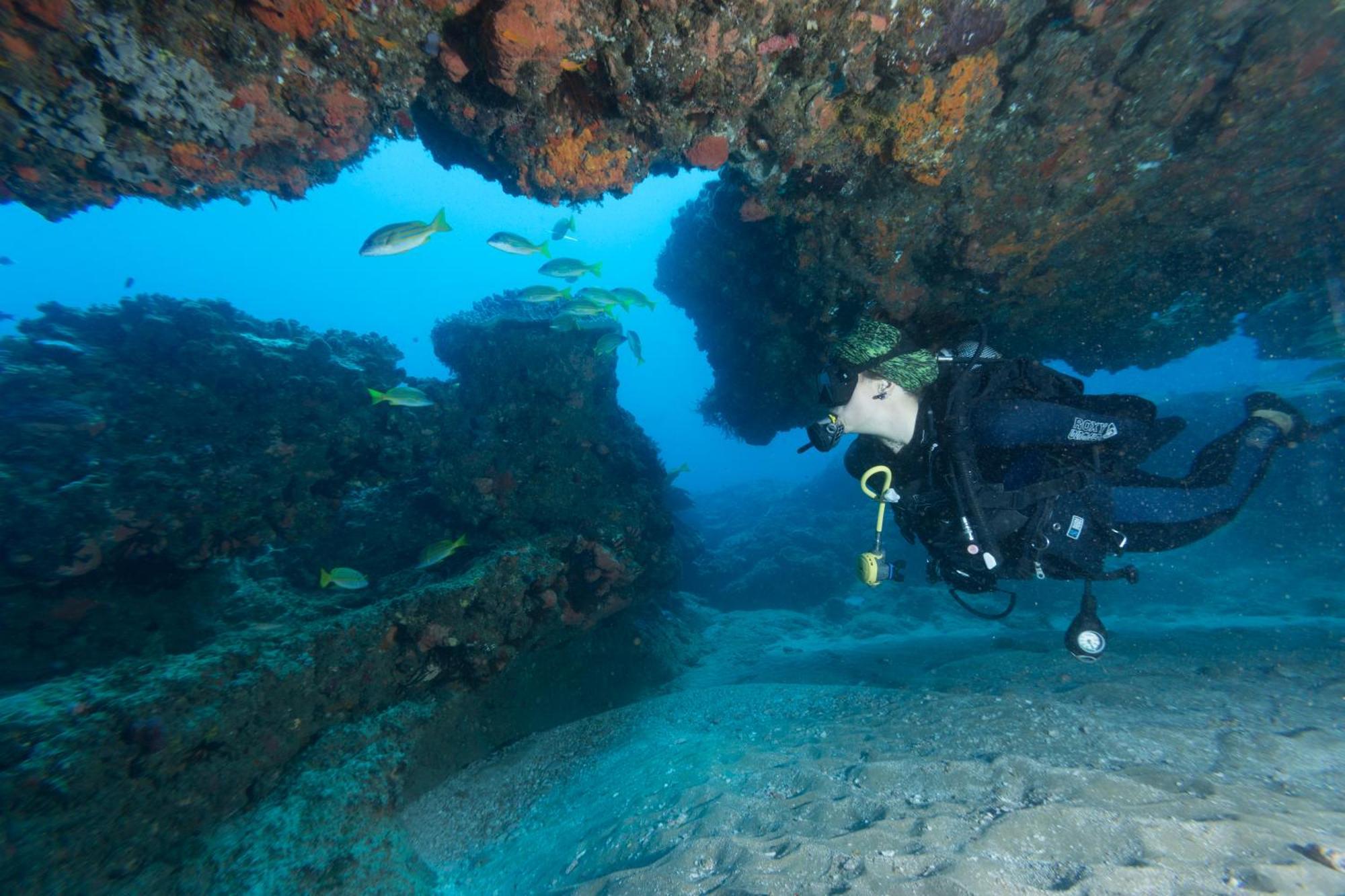 Sodwana Bay Lodge Dive & Fishing Resort Dış mekan fotoğraf