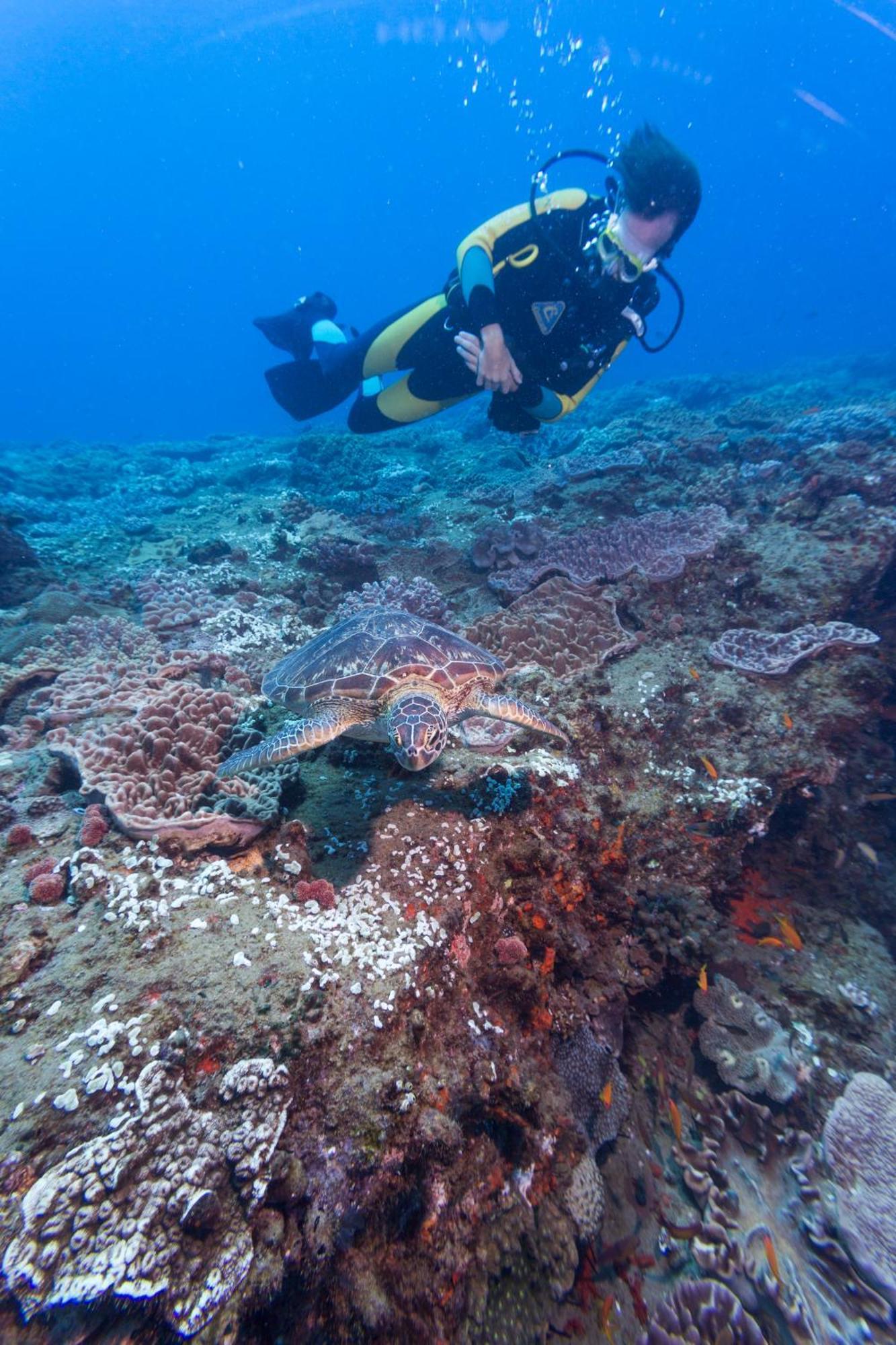 Sodwana Bay Lodge Dive & Fishing Resort Dış mekan fotoğraf